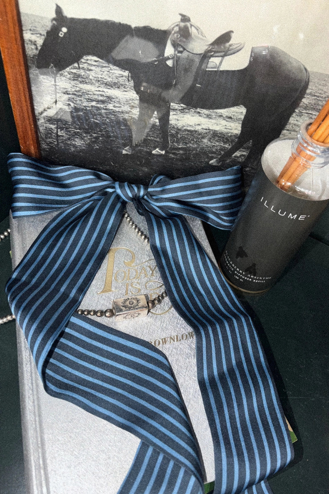A blue and navy striped silk ribbon tied in a large bow, draped over a silver book with gold lettering, next to a black bottle labeled 'ILLUME', with a framed black-and-white photo of a horse in the background.