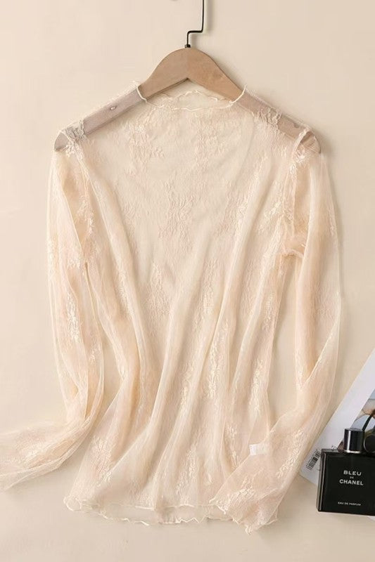 Sheer off white lace mesh long-sleeve mock-neck top shown on hanger, back view.