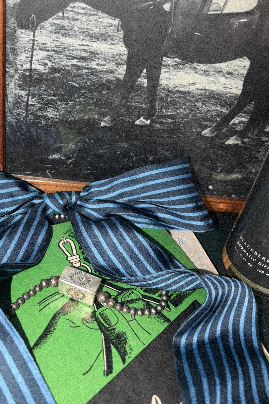 A blue and navy striped silk ribbon bow tied around a green book, with a silver-toned lock and beaded chain resting on top, set against a black-and-white framed photo of a horse.